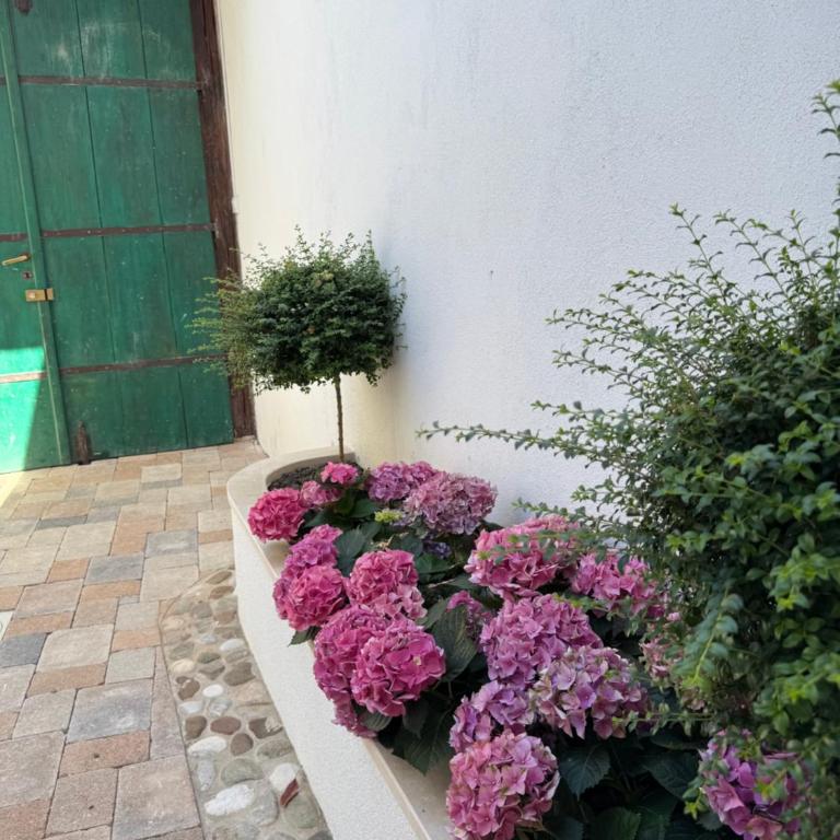 Villa Sevdah - apartments in the city centre, with pool and free parking - One-Bedroom Apartment with Pool View - 11