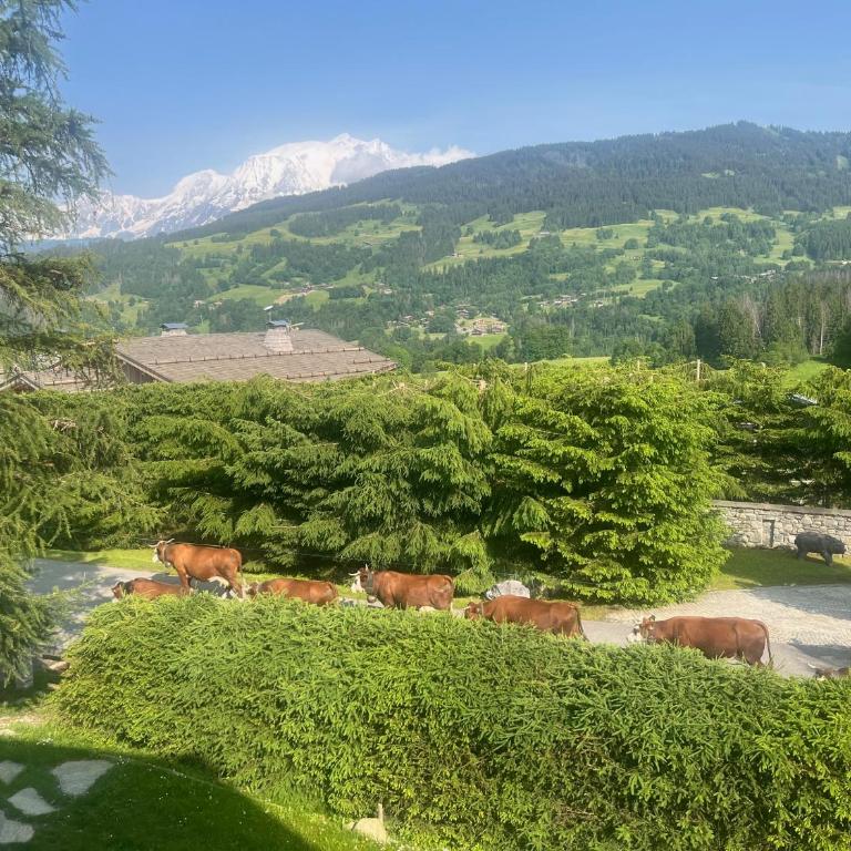 BARMADZA Mazots de Charme - Chalet Supérieur - 28