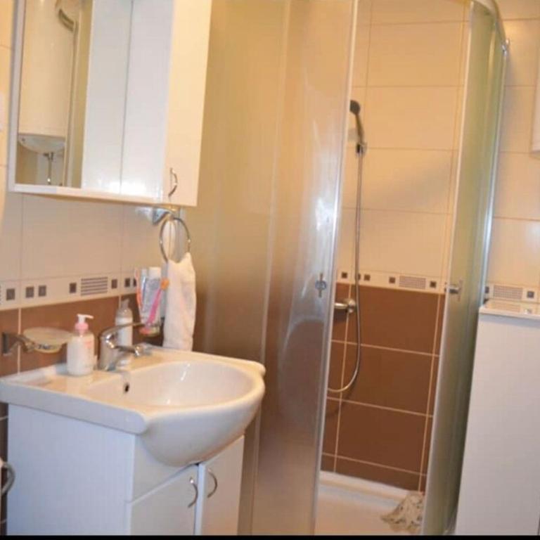 Apartman Cibula - Apartman sa 1 Spavaćom Sobom - 9