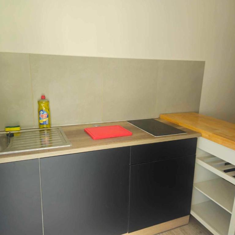 Logement avec extérieur - Doppelzimmer mit Gartenblick - 3