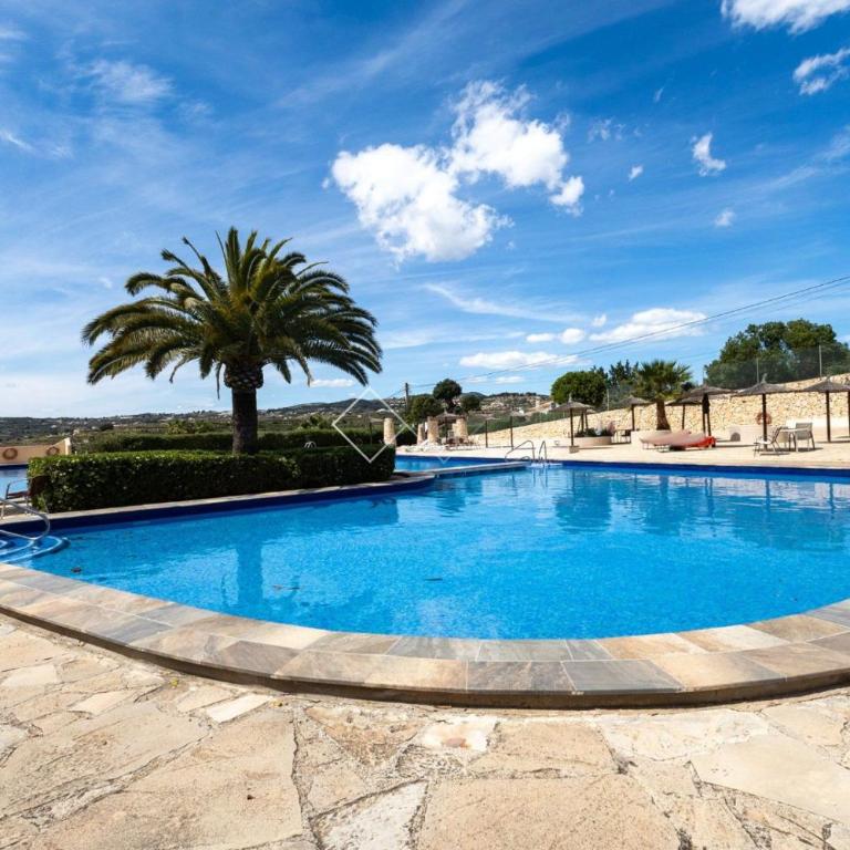 Casa Mariposa - One-Bedroom Apartment - 11