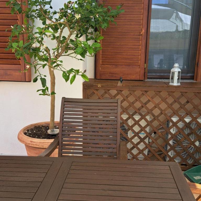 Harry's House San Teodoro con piscina privata - Casa con 2 Camere da Letto - 42