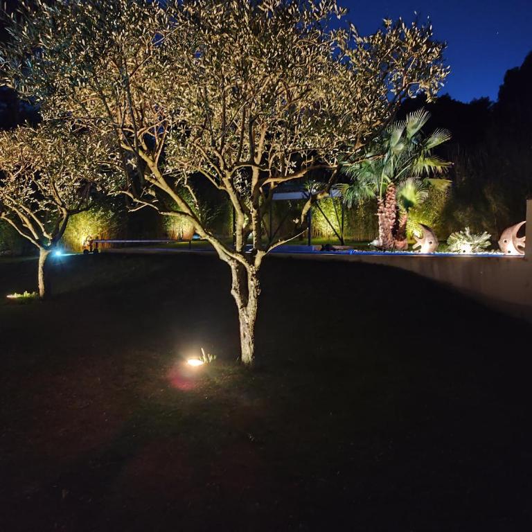 Chamarte villa piscine chauffées jardin clôturé Aix en Provence - Villa avec Piscine Privée - 18
