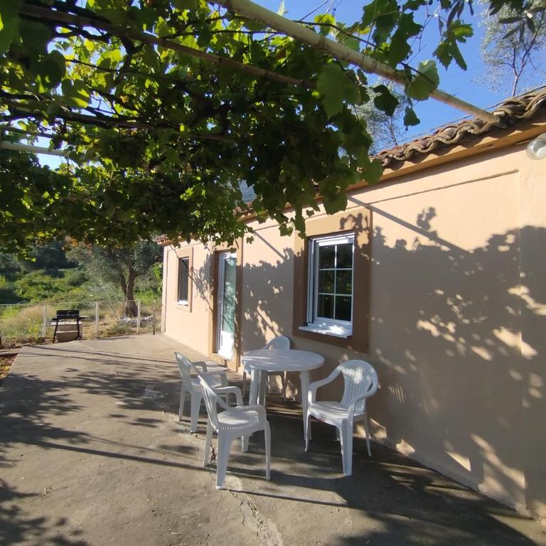 Olive House - One-Bedroom House - 14