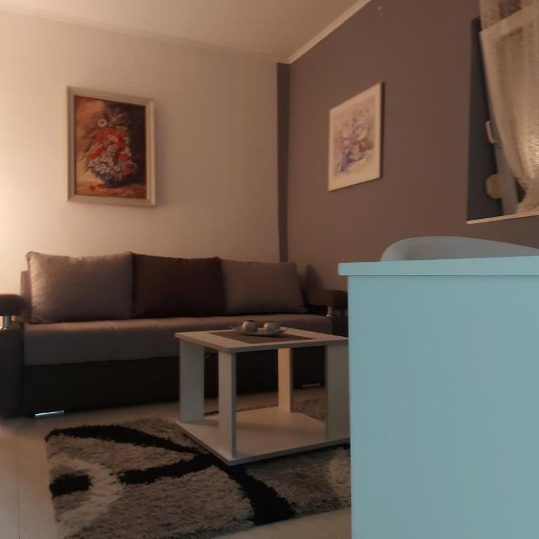 City for two Apartment with parking - Apartman sa 1 Spavaćom Sobom - 10