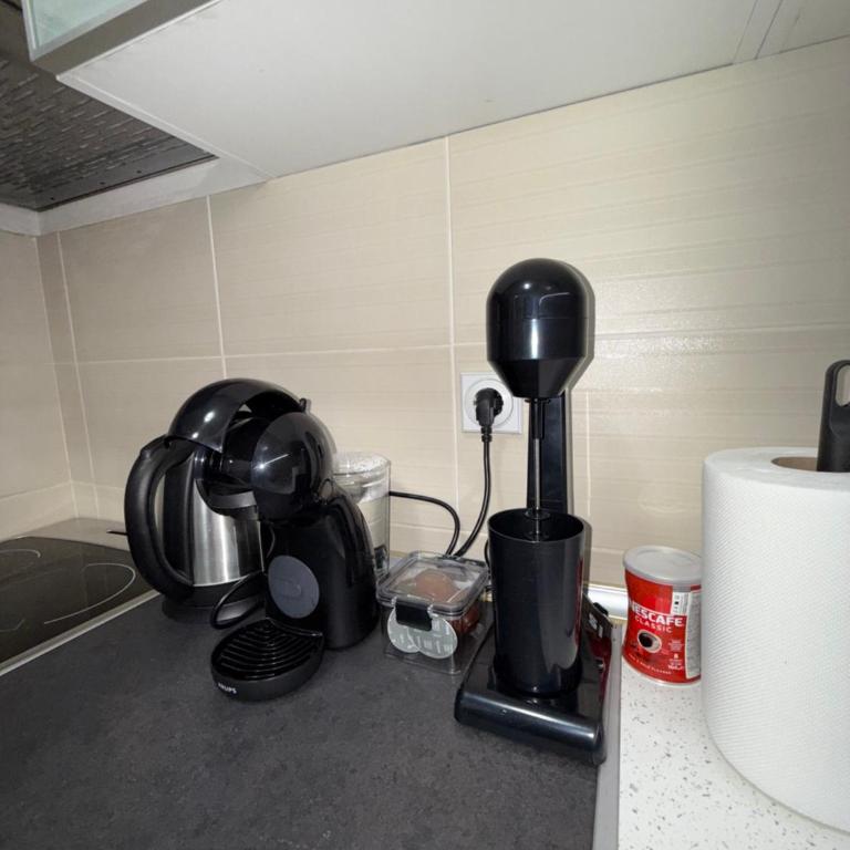 DarViva Apartment Niš, center, private garage parking, river view - Two-Bedroom Apartment - 21