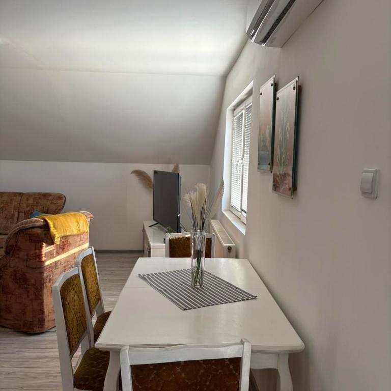 Apartman Salus - Apartman sa 2 Spavaće Sobe - 9