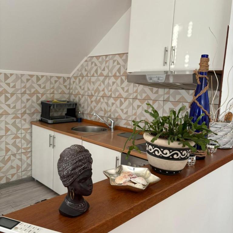 Apartman Salus - Apartman sa 2 Spavaće Sobe - 5