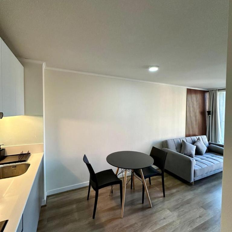 Santiago Pop-Art Suit 2 - Apartamento de 1 dormitorio - 20
