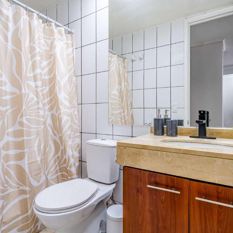 Moderno y comodo departamento en Cerro Santa Lucia - Apartamento - 8