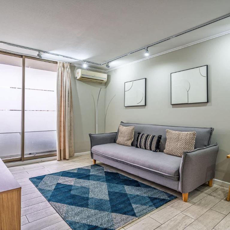 Moderno y comodo departamento en Cerro Santa Lucia - Apartamento - 9