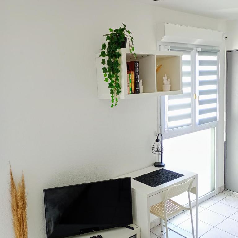 Studio cosy gare Perpignan - Apartment mit 1 Schlafzimmer - 3