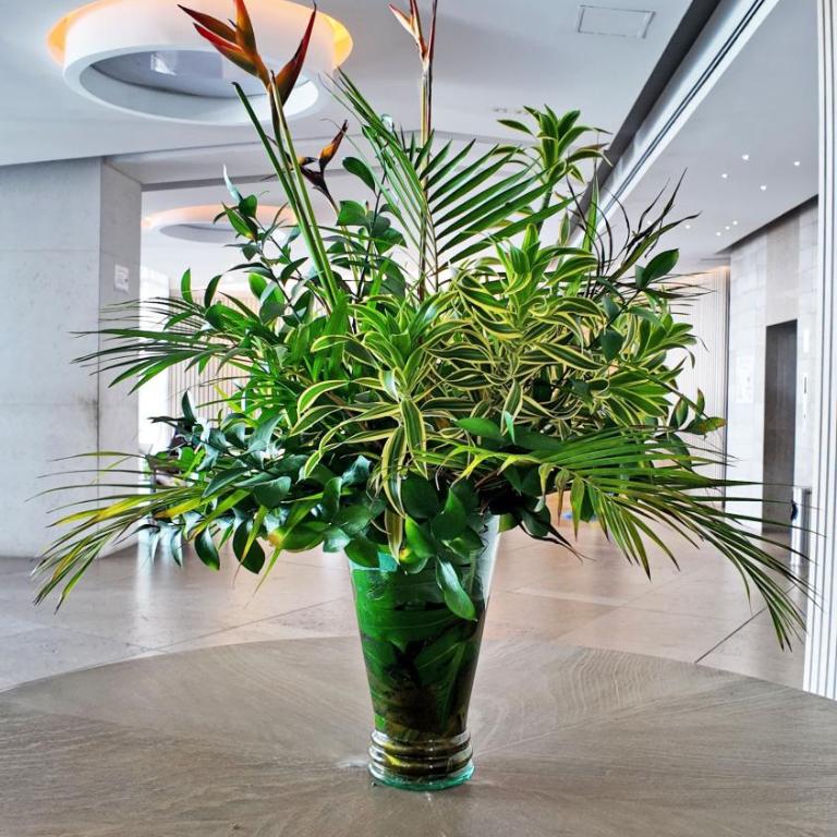 Morros city bocagrande 2004 - Apartamento de 1 dormitorio - 58