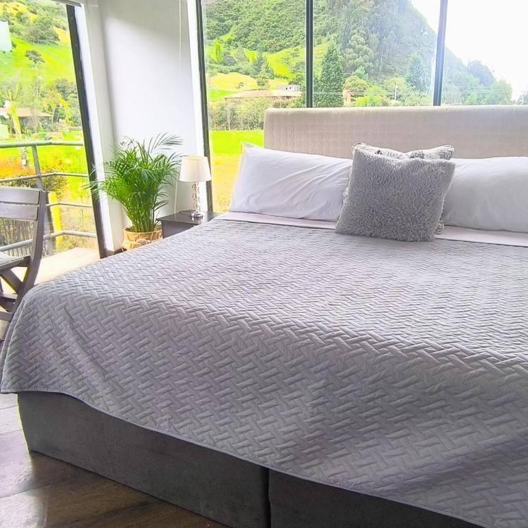 Comfort Campestre - Suite con vistas a la montaña - 15