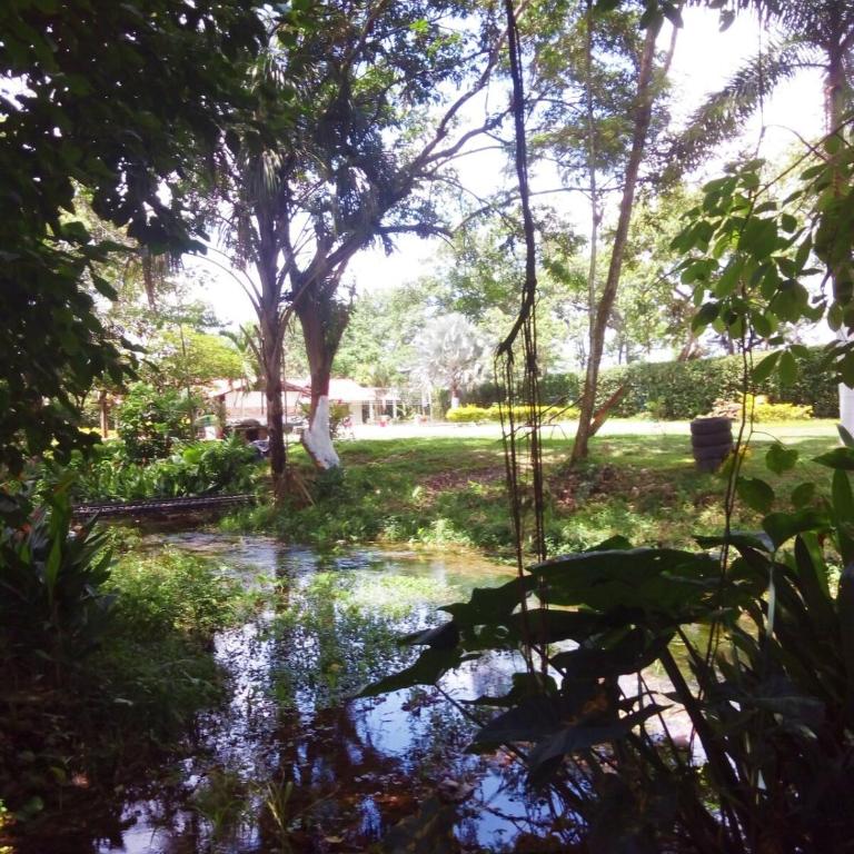 Cumare Finca Turistica - Two-Bedroom House - 43