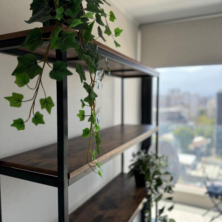 Ñuñoa Prime Suits 2 - Apartamento de 1 dormitorio - 25