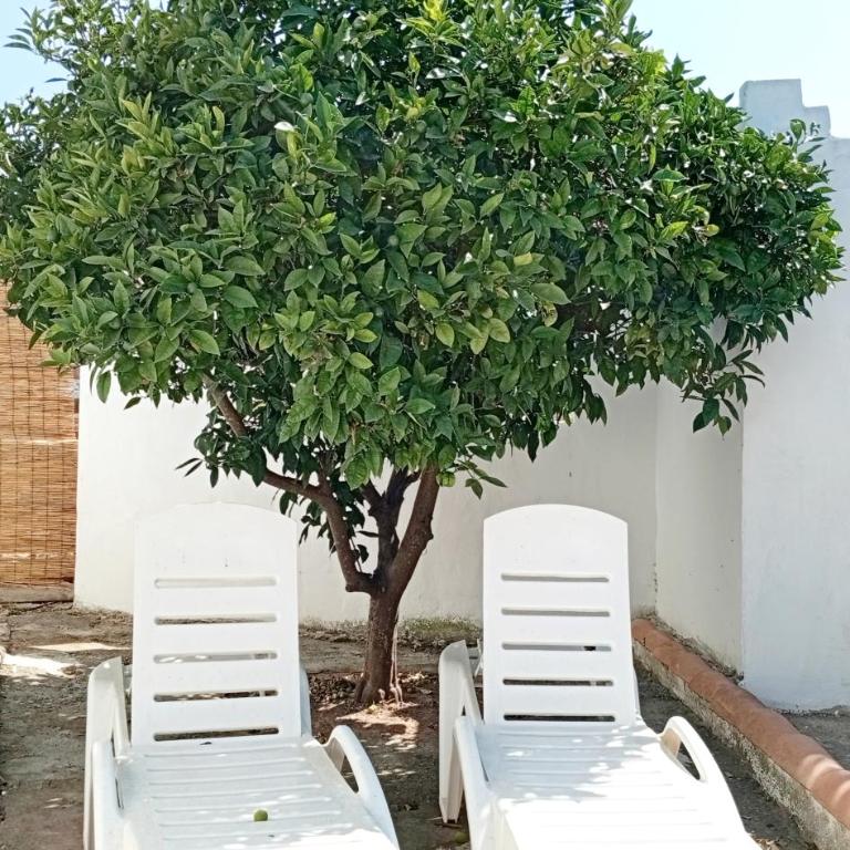 Casa del abuelo antonioTrujillo - Casa - 8