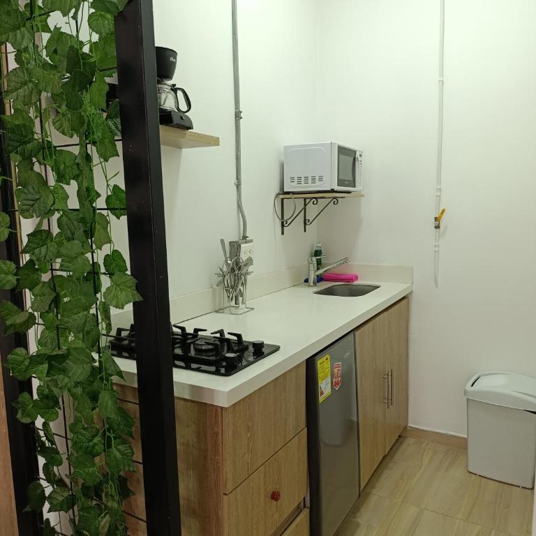 Apartahotel Provenza - Apartamento Clásico - 36