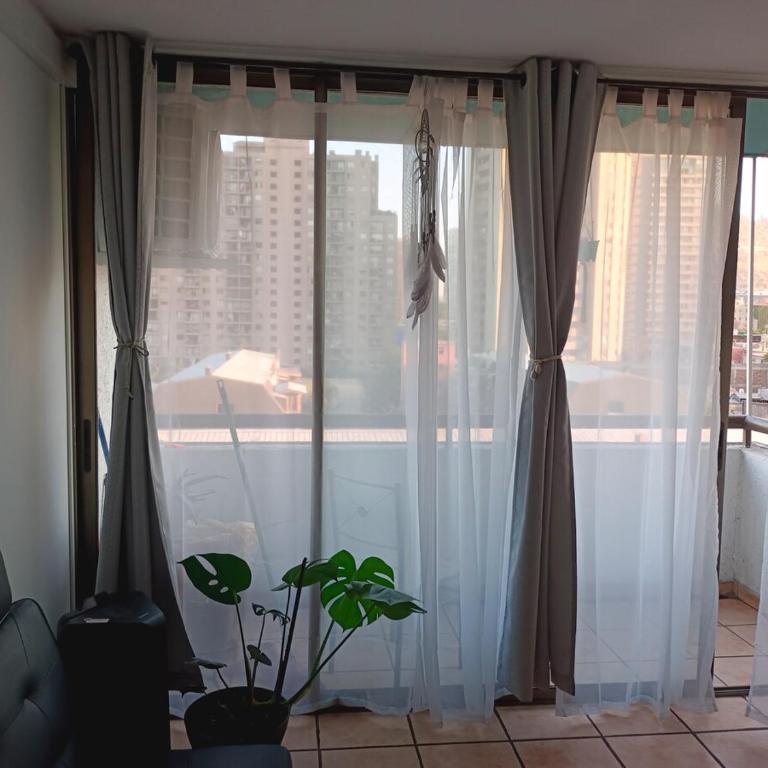 Central Departamento - Apartamento de 1 dormitorio - 5