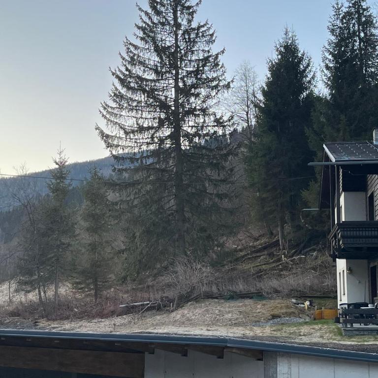 House Egger - Top 202 - Apartment mit 2 Schlafzimmern - 6
