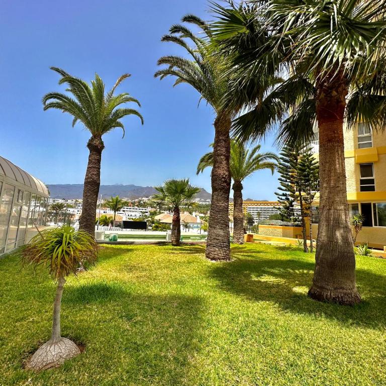 Torres de Yomely - Y3B - Apartamento de 1 dormitorio - 19