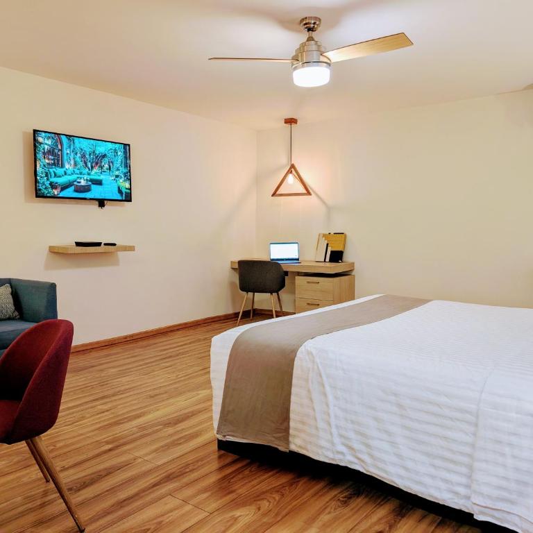 Casa Donceles Apartments and Suites, Alojamientos ideales para familias y grupos - King Studio 1 - 5
