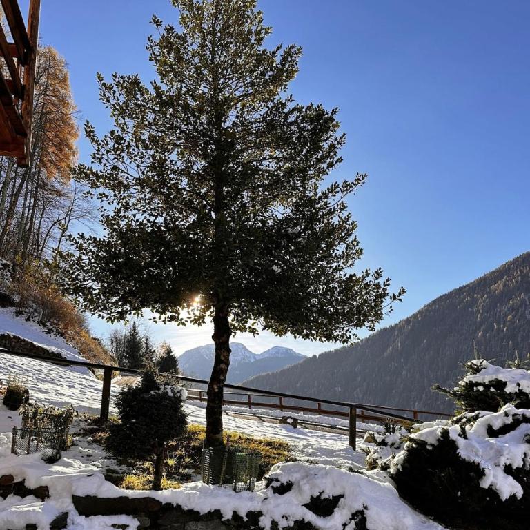 Mulino19- chalet in Val di Rabbi - Chalet - 13