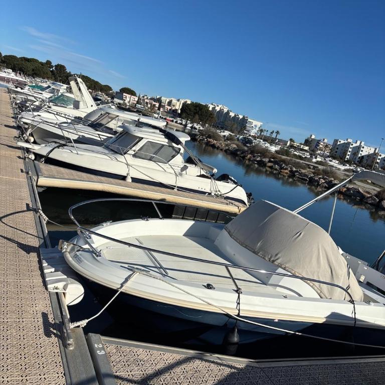 Docked boat - Mobile Home - 18