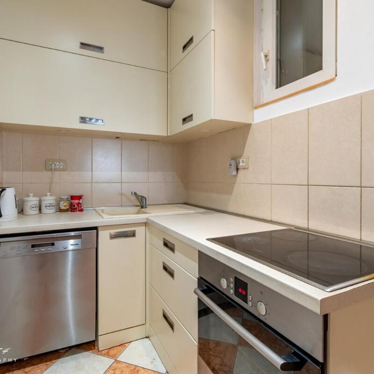 The View That Never Gets Old - Kalemegdan - One-Bedroom Apartment - 12