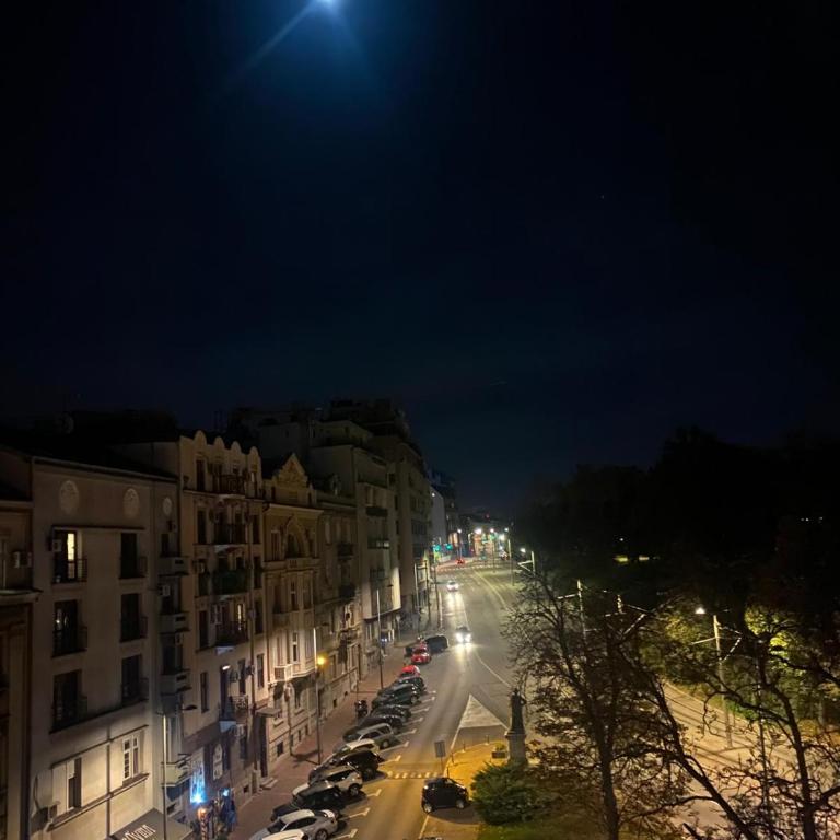 The View That Never Gets Old - Kalemegdan - One-Bedroom Apartment - 25