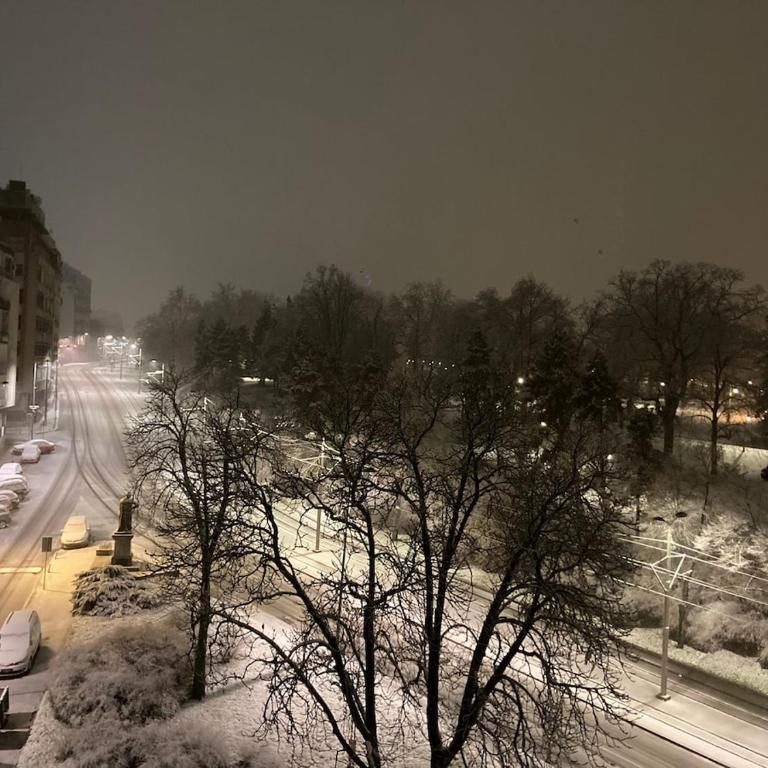 The View That Never Gets Old - Kalemegdan - One-Bedroom Apartment - 26