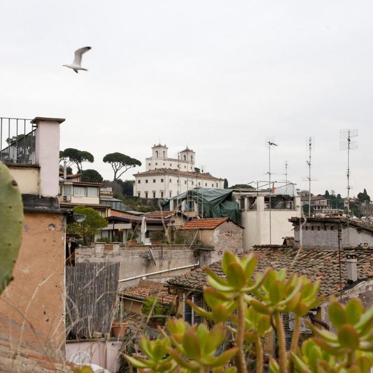 Laurina F1 Studio with Panoramic Terrace - LOCAPPART - Appartamento con Terrazza - 12