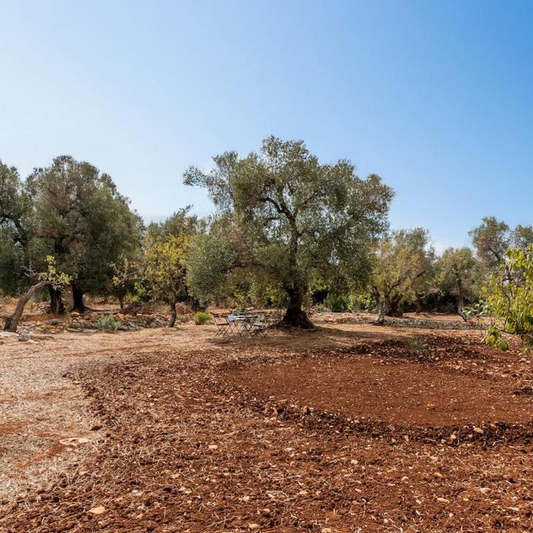 Lamia di Bibi - Le corti del silenzio - Villa con 2 Camere da Letto - 9