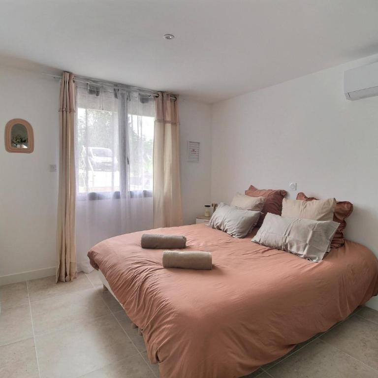 Garden & Spa Camélia jacuzzi - Appartement 1 Chambre avec Terrasse - 7