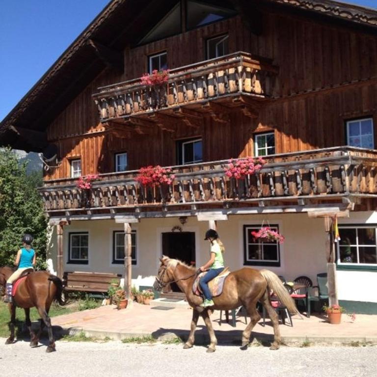 Reitbauernhof Schartner - Appartement avec Douche - 33