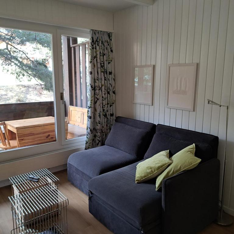 Le Flocon Studio in Ovronnaz close to the baths - Apartment mit 1 Schlafzimmer - 7