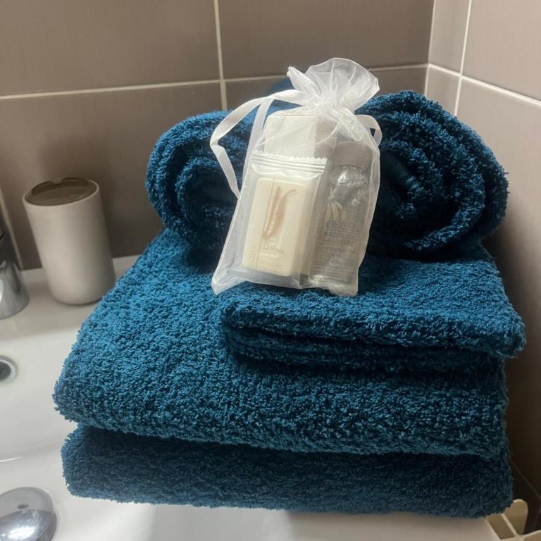 Studio piscine climatisation tennis - Appartement 1 Chambre - 18