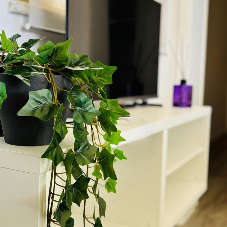TRILOCALE Riccione in vacanza! - Two-Bedroom Apartment - 5