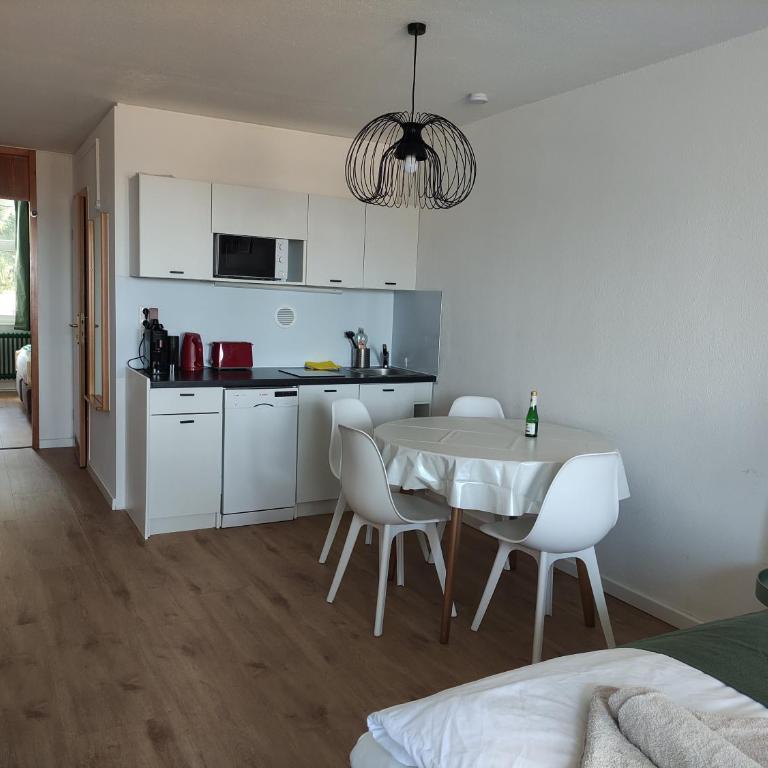 Sauna, Pool und Gartenzugang oder Balkon - Appartement 1 Chambre avec Balcon - 12
