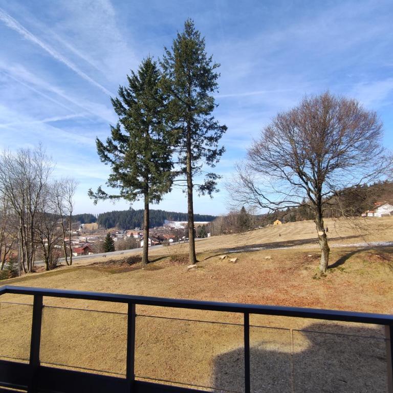Sauna, Pool und Gartenzugang oder Balkon - Appartement 1 Chambre avec Balcon - 14
