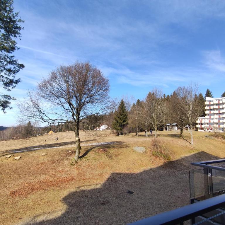 Sauna, Pool und Gartenzugang oder Balkon - Appartement 1 Chambre avec Balcon - 16