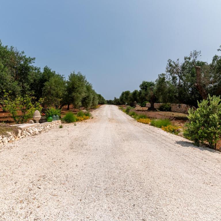 TRULLO il MAGNIFICO - Villa con 1 Camera da Letto - 3