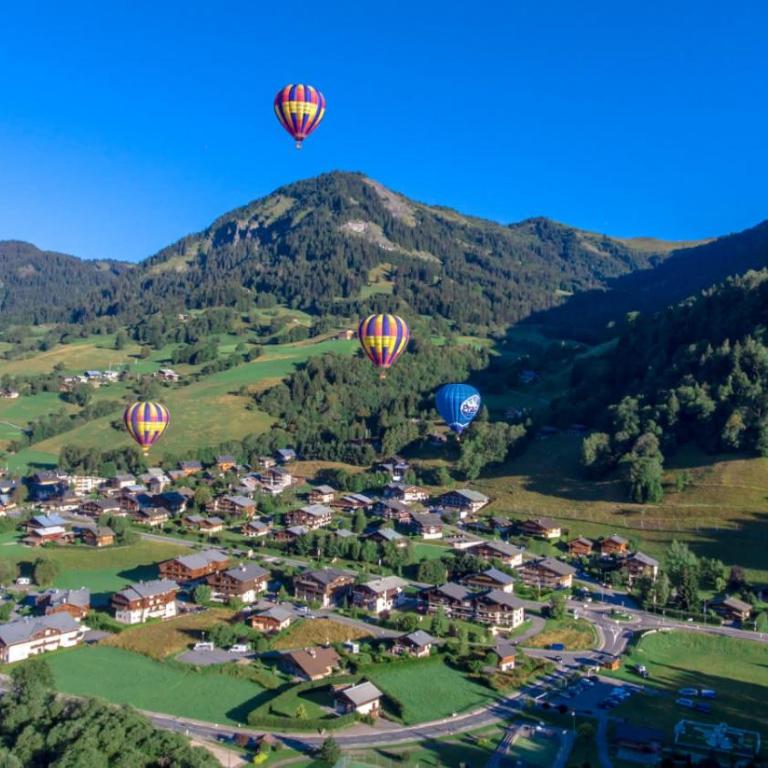 Escapade en famille, vue montagne - Chalet 1 Chambre - 21