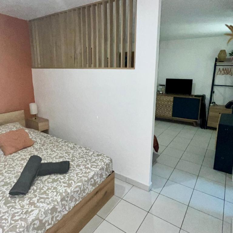 Appart'Terracotta - Au cœur de Lorgues - Appartement 1 Chambre - 26