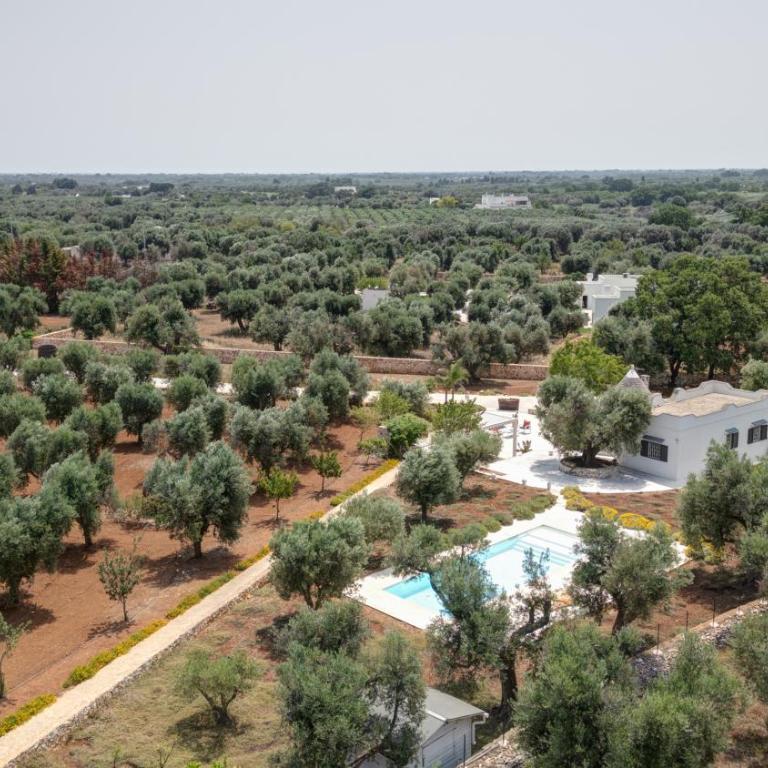 TRULLO il MAGNIFICO - Villa con 1 Camera da Letto - 21