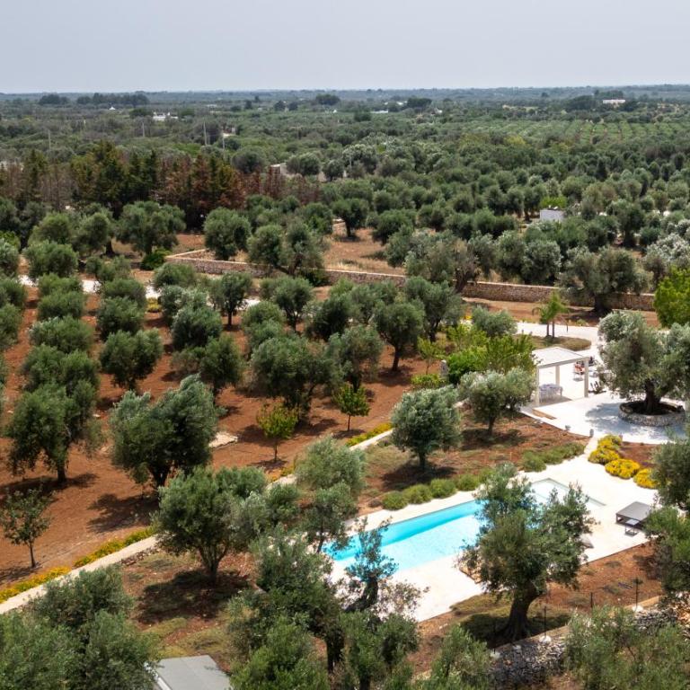 TRULLO il MAGNIFICO - Villa con 1 Camera da Letto - 23