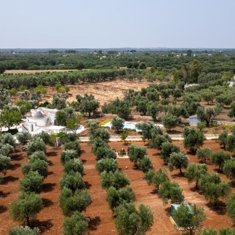 TRULLO il MAGNIFICO - Villa con 1 Camera da Letto - 26