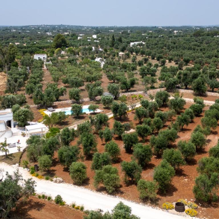 TRULLO il MAGNIFICO - Villa con 1 Camera da Letto - 27