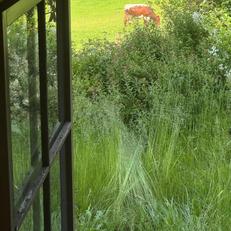 Lisl's & Gretl's Alpen Chalet - 10 Min nach Zell am See - Chalet - 11