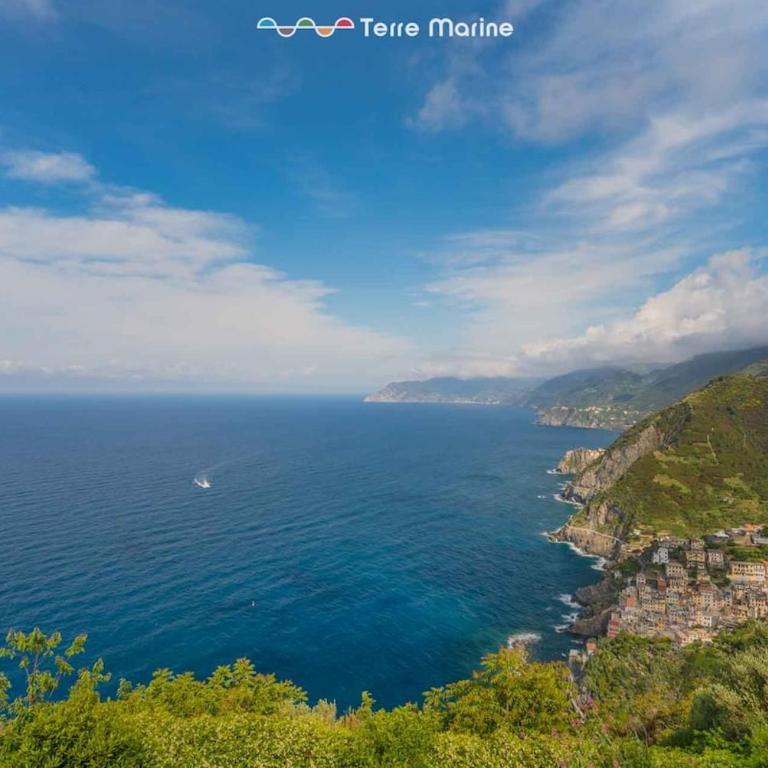 Blue Marine, TerreMarine - Casa con 1 dormitorio - 16